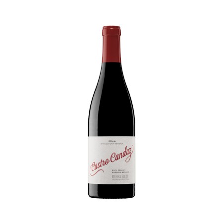 Comprar vino tinto con crianza Castro Candaz Mencía 2023 D.O. Ribeira Sacra
