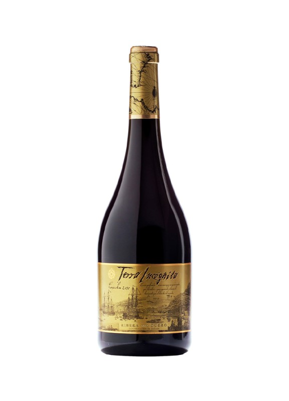 Comprar vino tinto con crianza Terra Incógnita 2022 D.O. Ribera del Duero