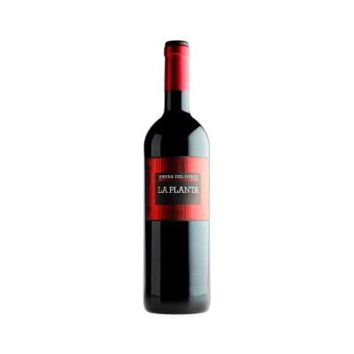 Comprar vino tinto con crianza La Planta 2024 D.O. Ribera del Duero
