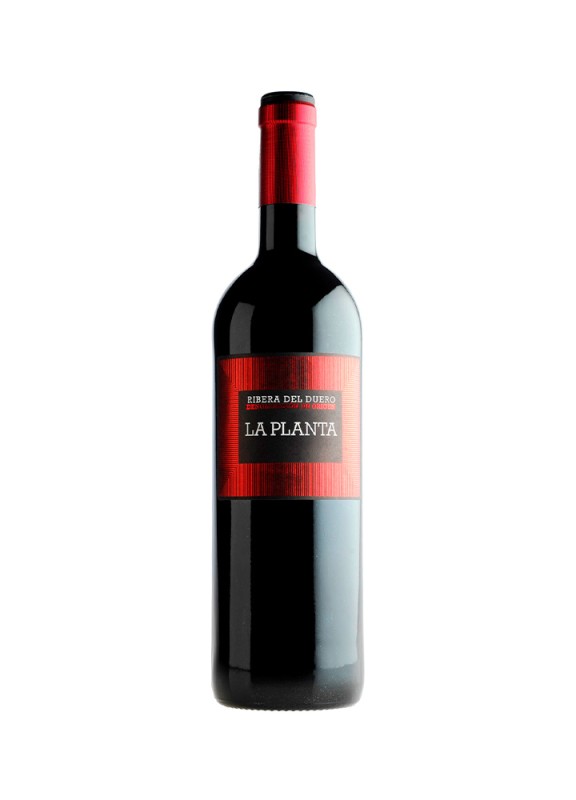 Comprar vino tinto con crianza La Planta 2024 D.O. Ribera del Duero