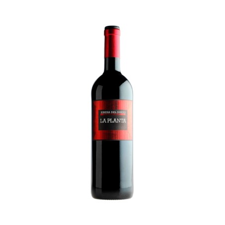 Comprar vino tinto con crianza La Planta 2024 D.O. Ribera del Duero