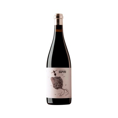 Comprar vino tinto con crianza Somni 2022 D.O.Q. Priorat
