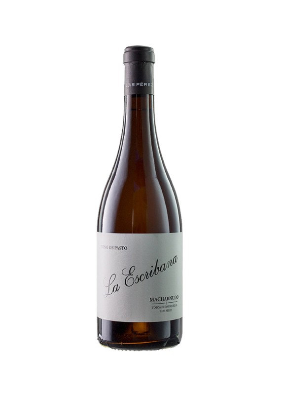 Comprar vino blanco con crianza La Escribana Vino de Pasto Macharnudo 2025 V.T. Cádiz