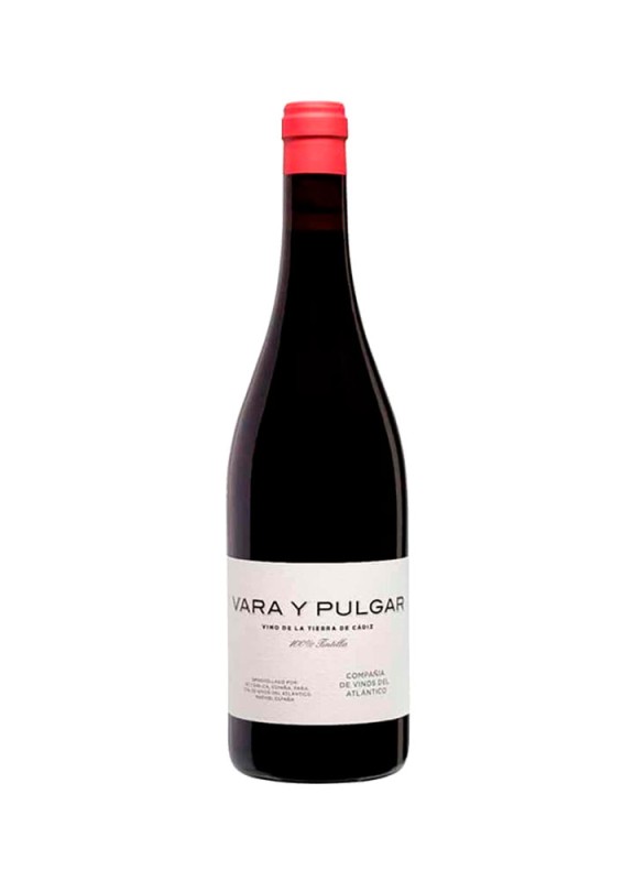 Comprar vino tinto con crianza Vara y Pulgar Tinto 2023 VT. Cádiz