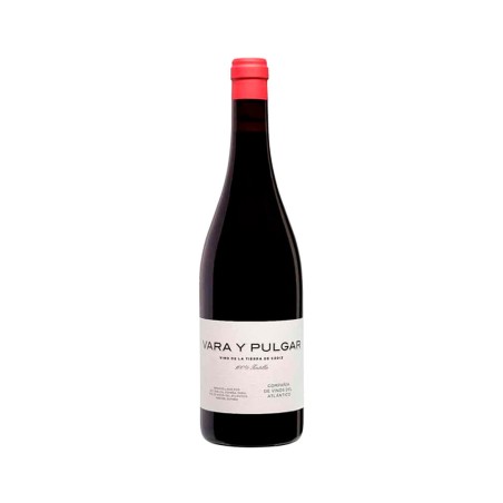 Comprar vino tinto con crianza Vara y Pulgar Tinto 2023 VT. Cádiz