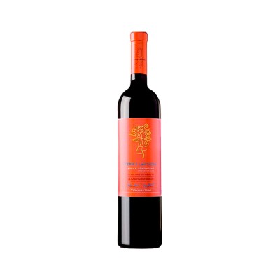Comprar vino tinto con crianza Viñas del Vero Syrah Series Limitadas 2006 D.O. Somontano