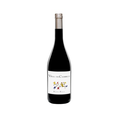 Comprar vino blanco fermentado en barrica Cámbrico Rufete Blanco Granito 2021 D.O.P. Sierra de Salamanca
