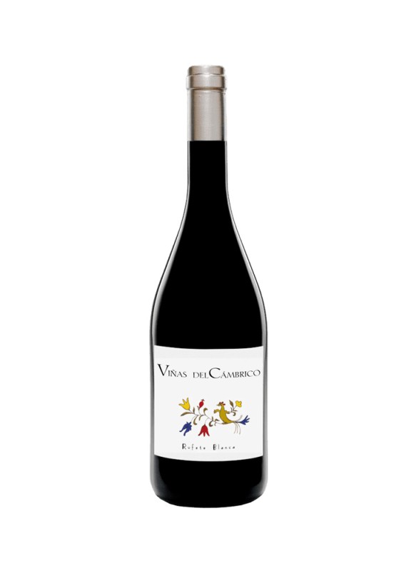 Comprar vino blanco fermentado en barrica Cámbrico Rufete Blanco Granito 2021 D.O.P. Sierra de Salamanca