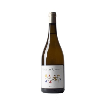 Comprar vino blanco con crianza Cámbrico Rufete Blanco Pizarra 2021 D.O.P. Sierra de Salamanca