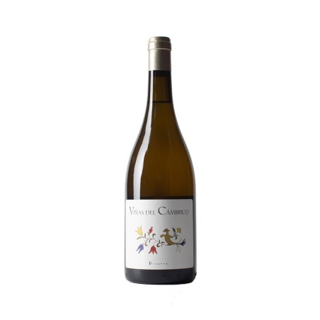 Comprar vino blanco con crianza Cámbrico Rufete Blanco Pizarra 2021 D.O.P. Sierra de Salamanca