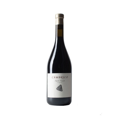 Comprar vino tinto con crianza Cámbrico Rufete Granito El Pocito 2018 D.O.P. Sierra de Salamanca