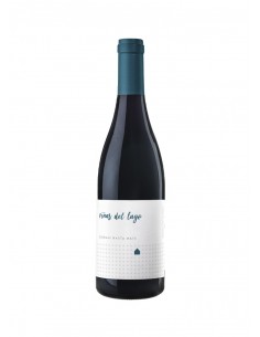 Viñas del Lago 2018