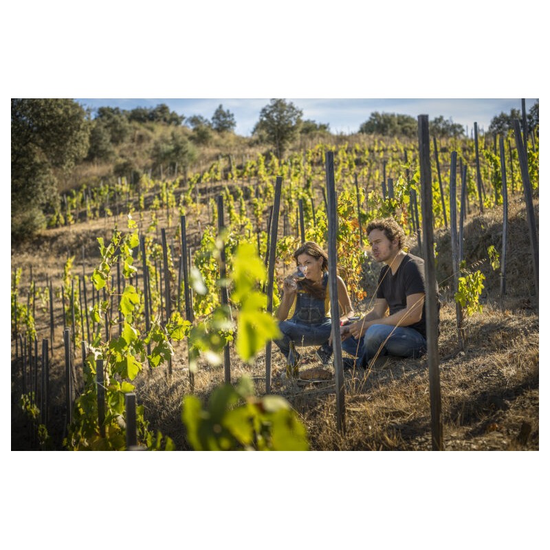 Sara i René Viticultors