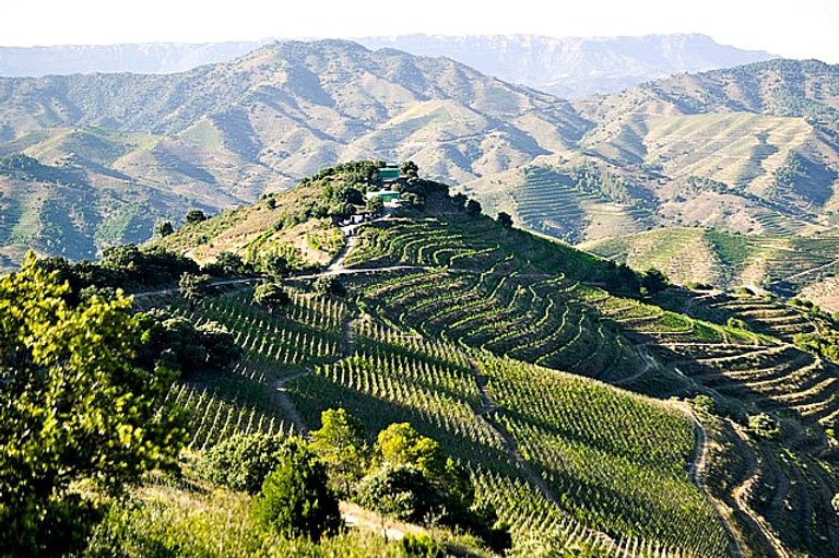 D.O.Q. Priorat