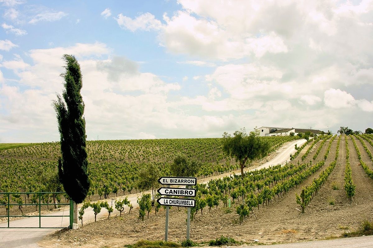 Barrialto Viñas & Vinos