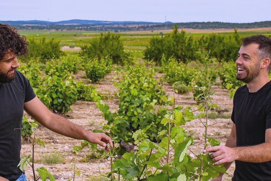 Bodega Cerrón