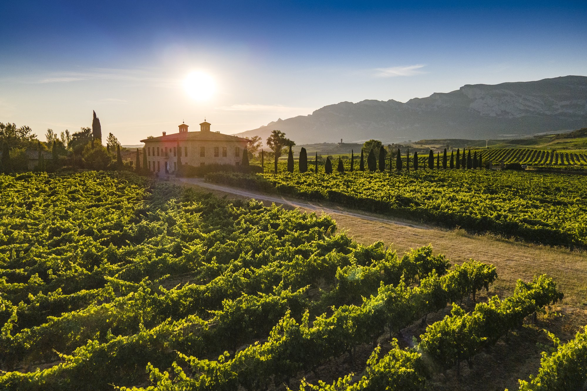 Bodegas La Rioja Alta.