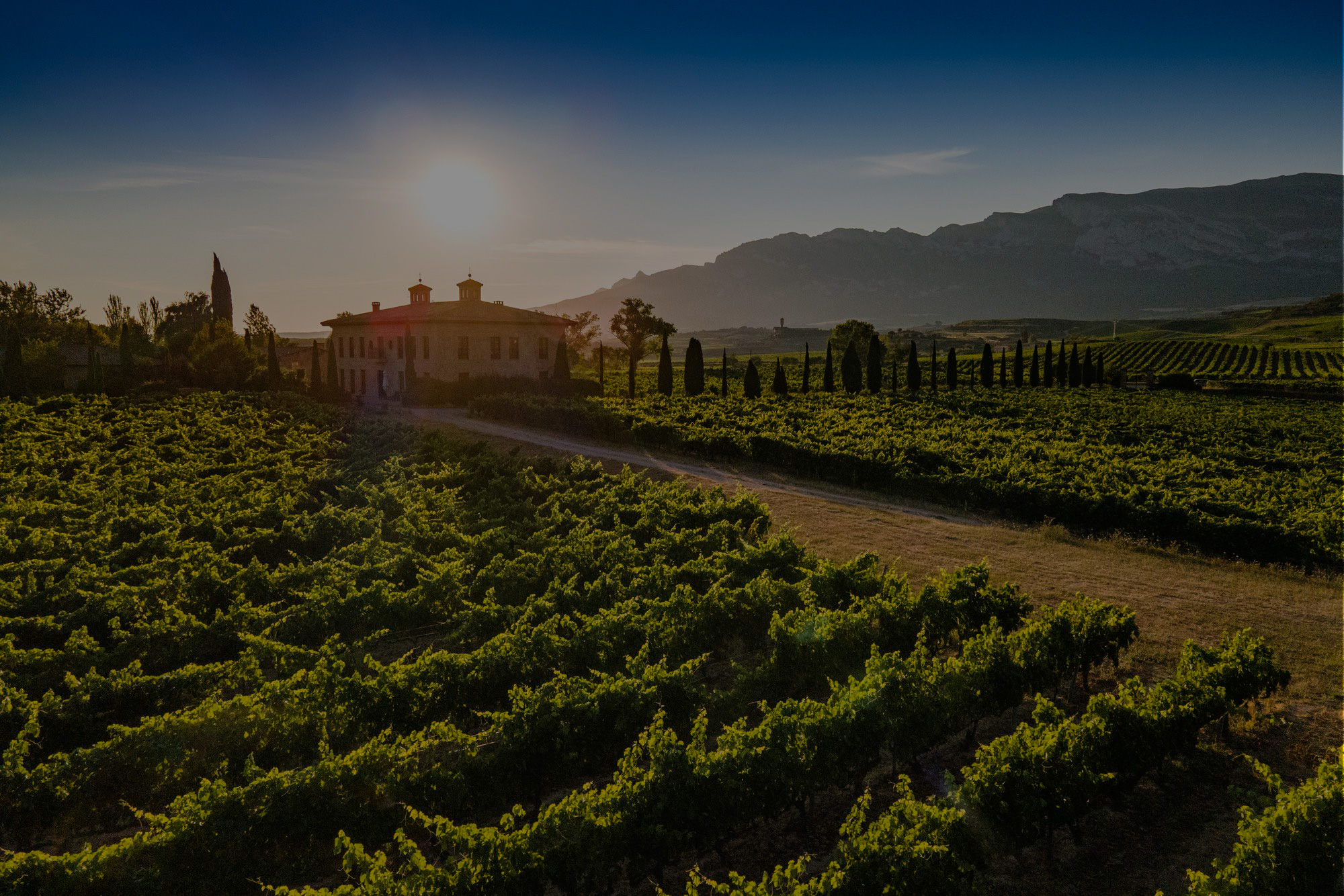 La Rioja Alta