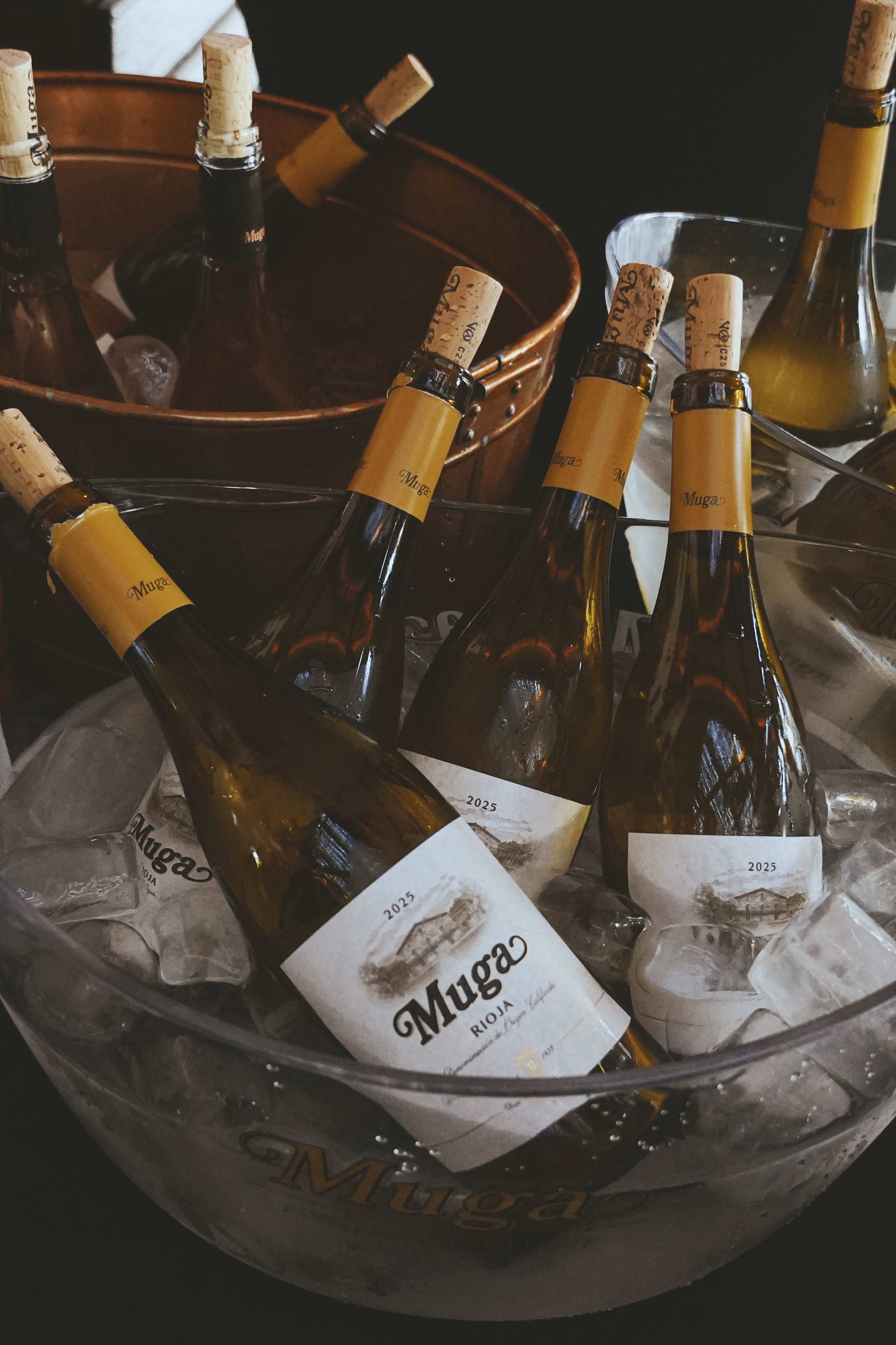 Presentación de las nuevas añadas de Bodegas Muga.